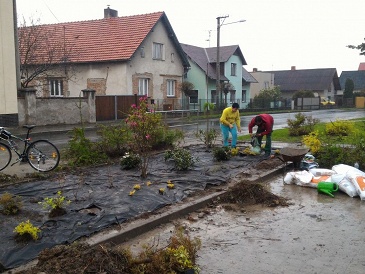 Páteční brigáda ve středu obce začala výsadbou keřů
