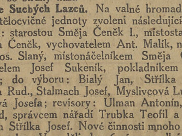 Valná hromada DTJ 1921 - volba členů