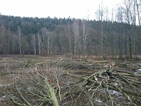Sedlinka 19.2.2017