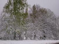 19.4.2017