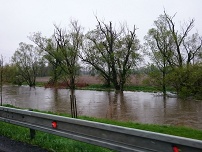 Komárov - "na oáze"