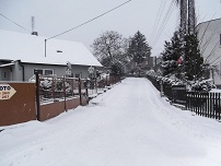Ve dvoře