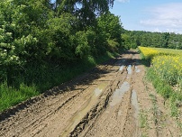 Před čištěním