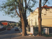 Lípy u školy