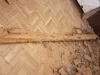 Starý trám
