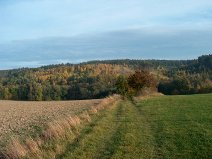 Suché Lazce a okolí říjen 2005