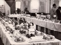 22.10.1967, sál Jednoty Věntus