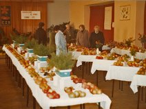 rok 1970 sál Bíleho anděla