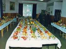 28.-30.10.1988 Kulturní dům, návštěvnost 500 občanů.