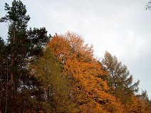 27.10.2006