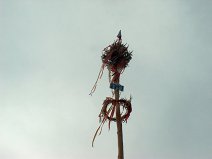 7.5.2009