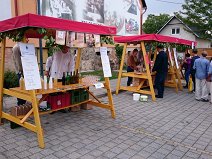 2. ročník Sucholazeckého Vinobraní 2016