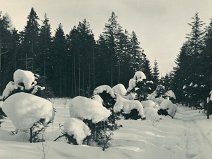sníh Přerovec