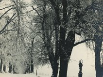 1923 Hrabyň Janíček - dubová alej se sv. Janem