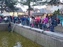 Sucholazecké Kaprobraní 2015