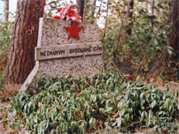Podoba pomníku z roku 2000